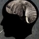 silhouette of a person with the image of an elephant